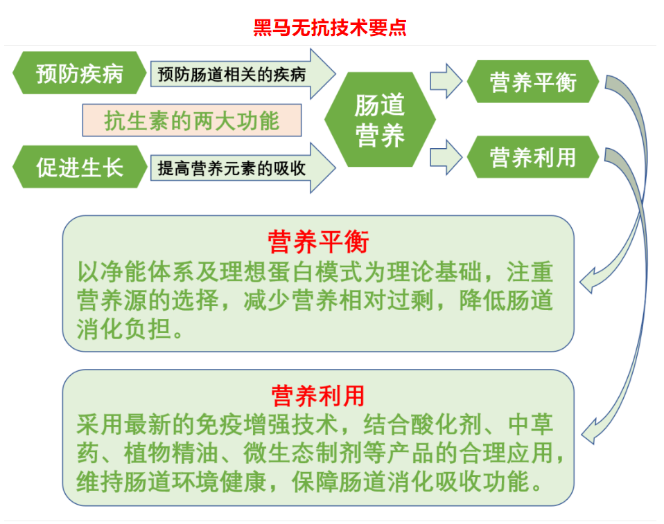 無(wú)抗新技術(shù)，..