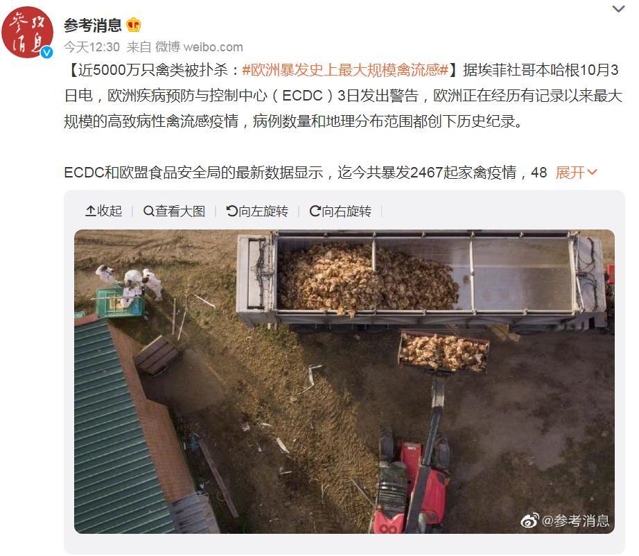 關(guān)注！歐洲暴發(fā)史上最大規(guī)模禽流感，波及37個(gè)國家！近5000萬只禽類被撲殺，蛋價(jià)會(huì)上漲么？