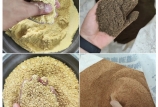 飼料原料驗收的“望、聞、問、切”